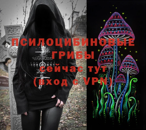 первитин Кукмор
