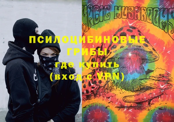 гашик Алексеевка